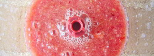 смузи с грушей, апельсином и зеленым чаем. Шаг 4