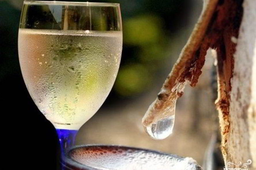 Рецепт вина иза березового соки