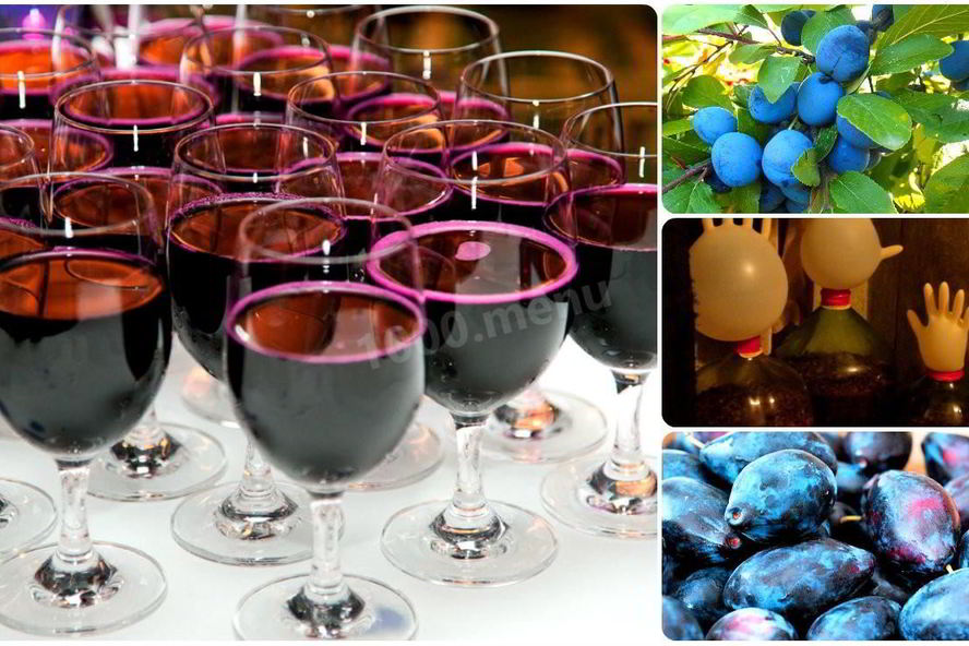 Рецепт вина из сливы с сахаром