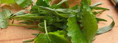 картофельный салат с брокколи, мелиссой и тархуном. Шаг 8