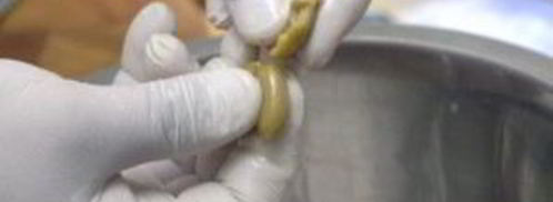 салат оливье с семгой. Шаг 6