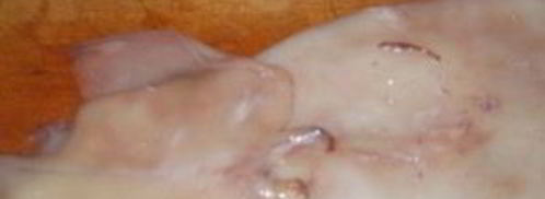 салат из кальмаров с заправкой. Шаг 2