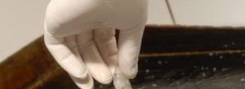 салат с креветками вкусный. Шаг 2