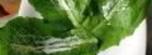 салат цезарь в минималистическом стиле. Шаг 5