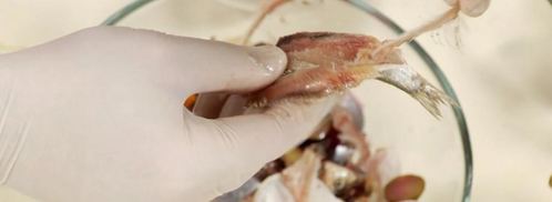 винегрет с килькой. Шаг 6