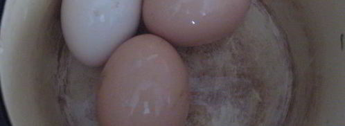 борщ холодный с креветками. Шаг 11