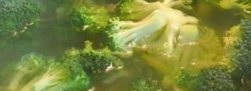 картофельный суп с пореем. Шаг 4