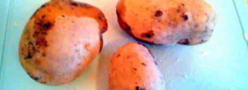 окрошка майская фантазия. Шаг 3