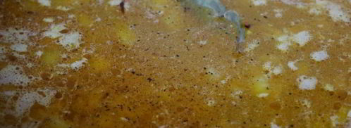 куриный суп с нутом и овощами. Шаг 9