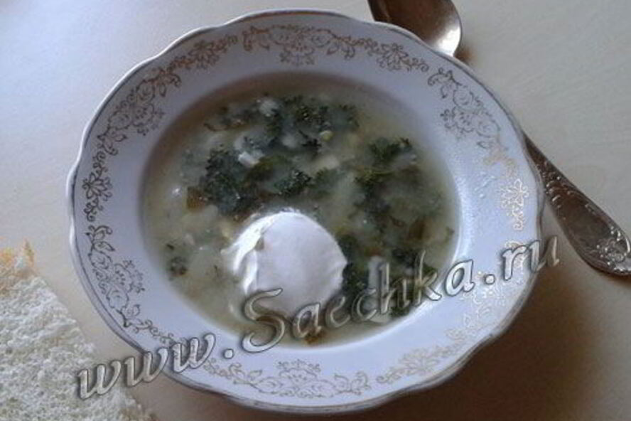 Рецепт щей из крапивы