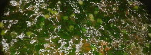 щи из квашеной капусты в мультиварке. Шаг 6