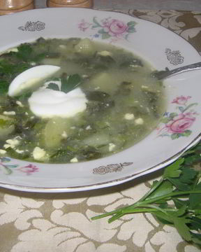 Щи из щавеля