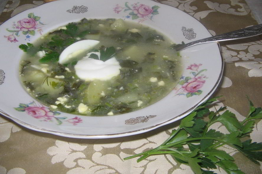 Рецепт щей из щавеля