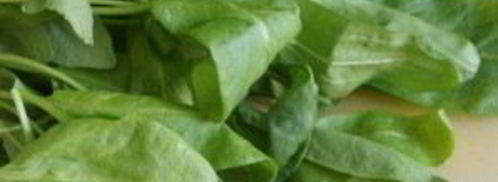 щи с бараниной. Шаг 10