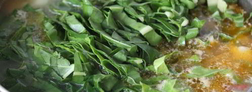 щи с мангольдом на курином бульоне. Шаг 8