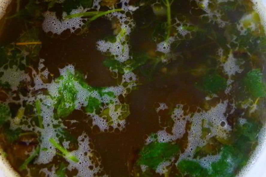 Рецепт щей со щавелем