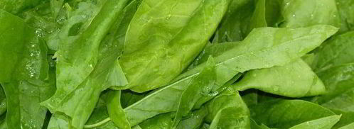 словацкий суп зеленуца. Шаг 5