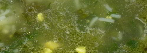 словацкий суп зеленуца. Шаг 7