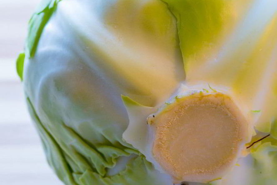 Рецепт солянки из капусты