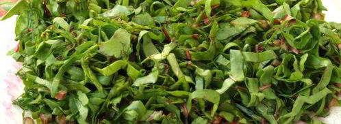 суп с кабачком и свекольной ботвой. Шаг 5