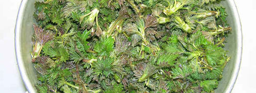 суп весенний с крапивой. Шаг 13