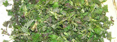 суп весенний с крапивой. Шаг 15