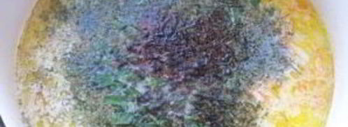 сырный суп со свининой. Шаг 6