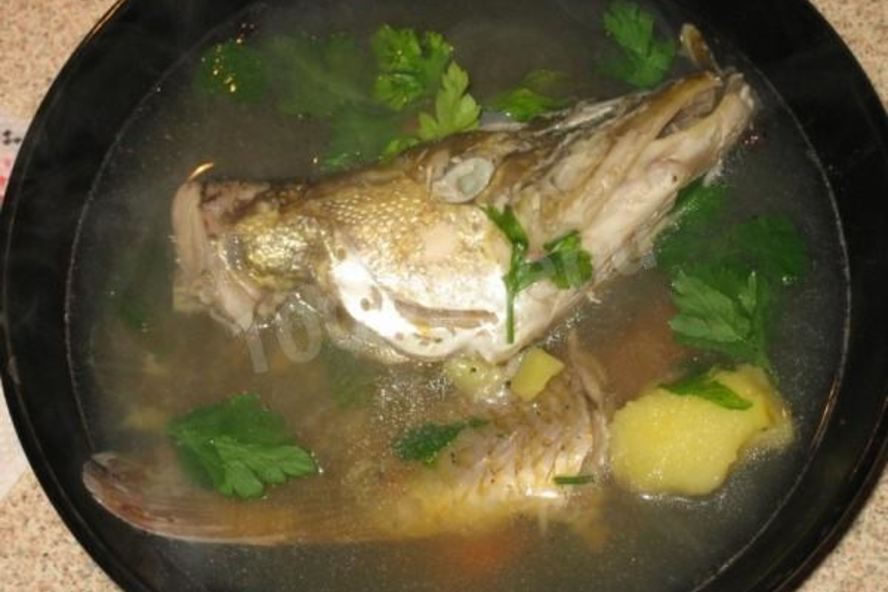 Рецепт щучьей ухи