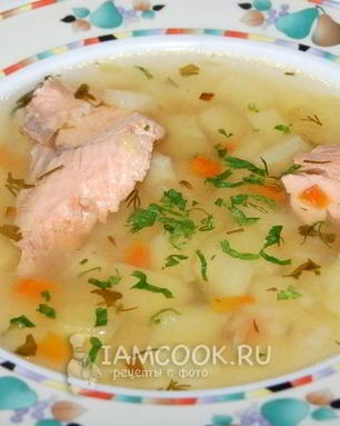 Уха из горбуши