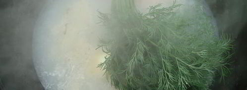 уха из карпа по-царски. Шаг 11