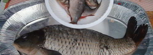 уха из карпа по-царски. Шаг 3