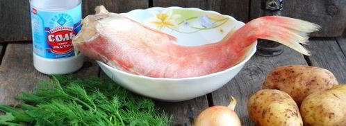 уха из морского окуня. Шаг 3