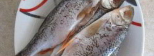 уха из плотвы. Шаг 2