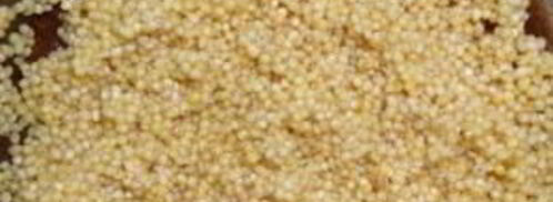 уха из рыбных консервов. Шаг 4