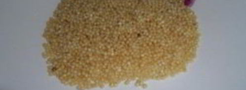 уха из семги с пшеном. Шаг 4