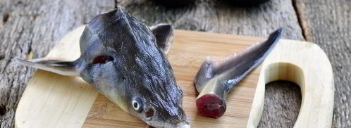 уха из стерляди. Шаг 6