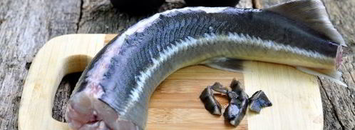 уха из стерляди. Шаг 9