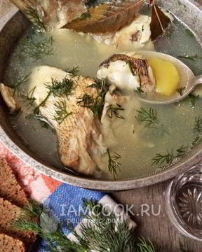 Уха из судака по-рыбацки