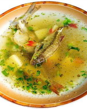 Уха из свежей речной рыбы