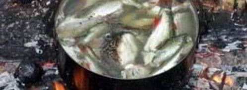 уха на костре. Шаг 2