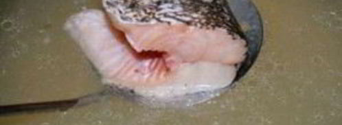 уха по-царски. Шаг 4