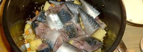 уха в мультиварке. Шаг 7