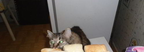 блинчики с печенью. Шаг 5