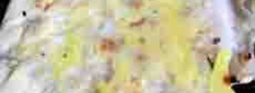 китайский блинчик с начинкой. Шаг 9