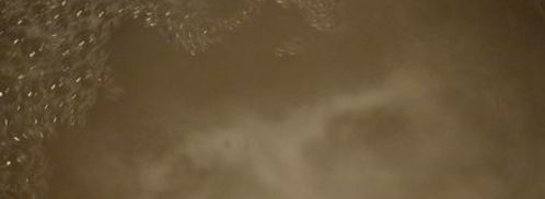 булочки брецель. Шаг 9