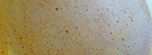 булочки ванильные на топленом молоке. Шаг 2