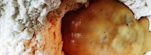 яблочные булочки. Шаг 5