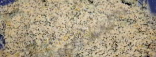 апельсиновый кекс с маком. Шаг 4