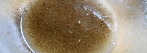 кекс с имбирем и ореховым топпингом. Шаг 5