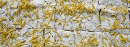 чипсы из лаваша с сыром. Шаг 10